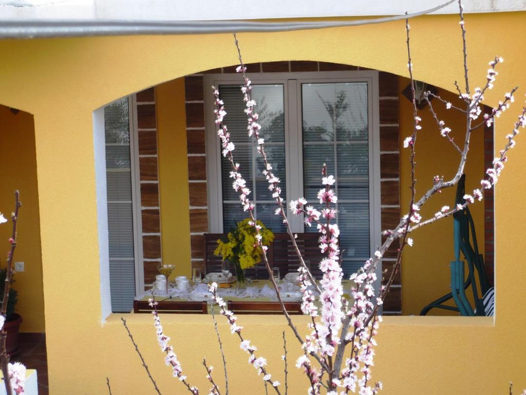 Apartments Brac Супетар Номер фото
